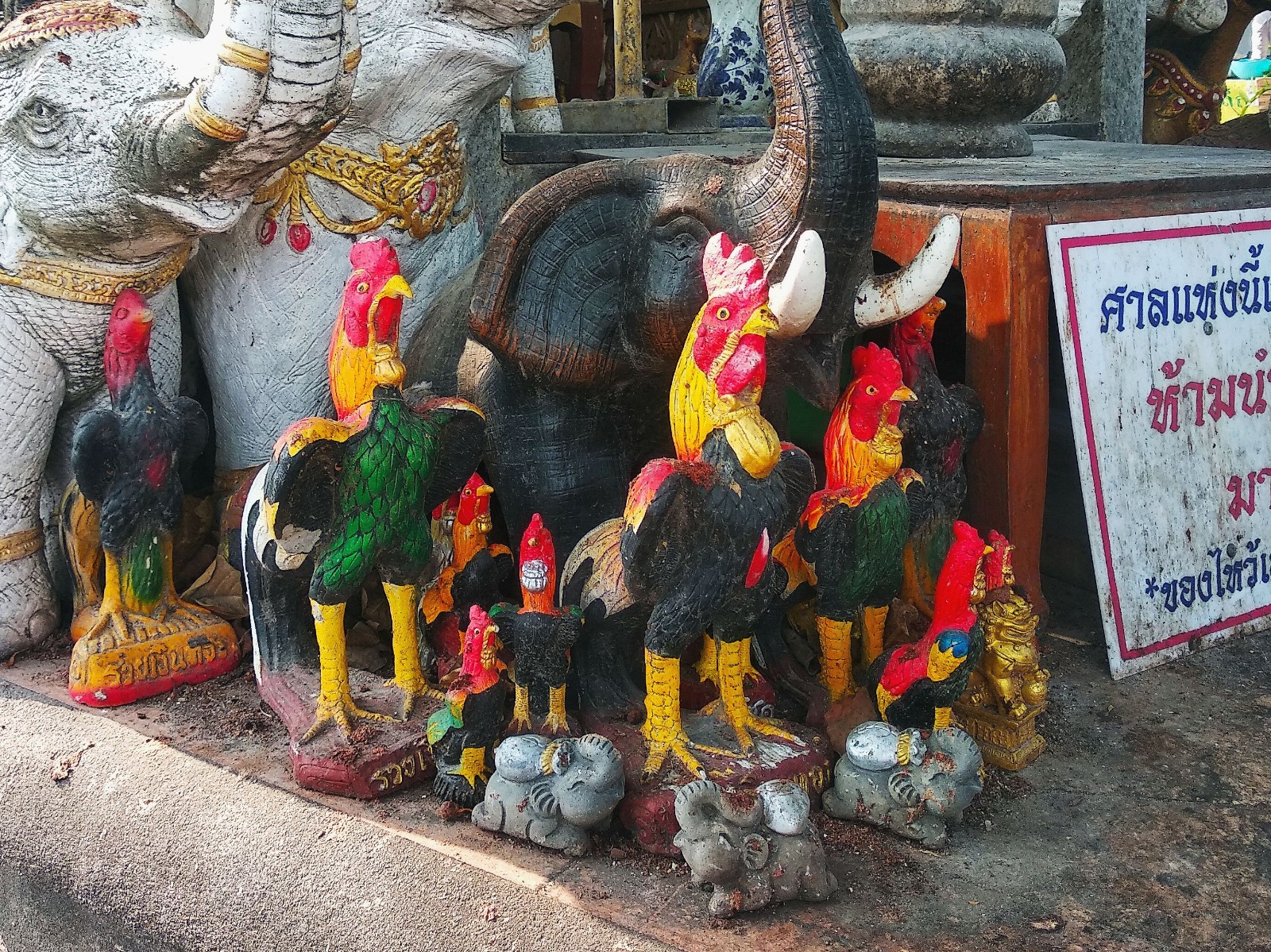 WhatsApp Image 2024-01-15 at 14.07.25.jpeg WhatsApp Image 2024-01-15 at 14.07.25.jpeg