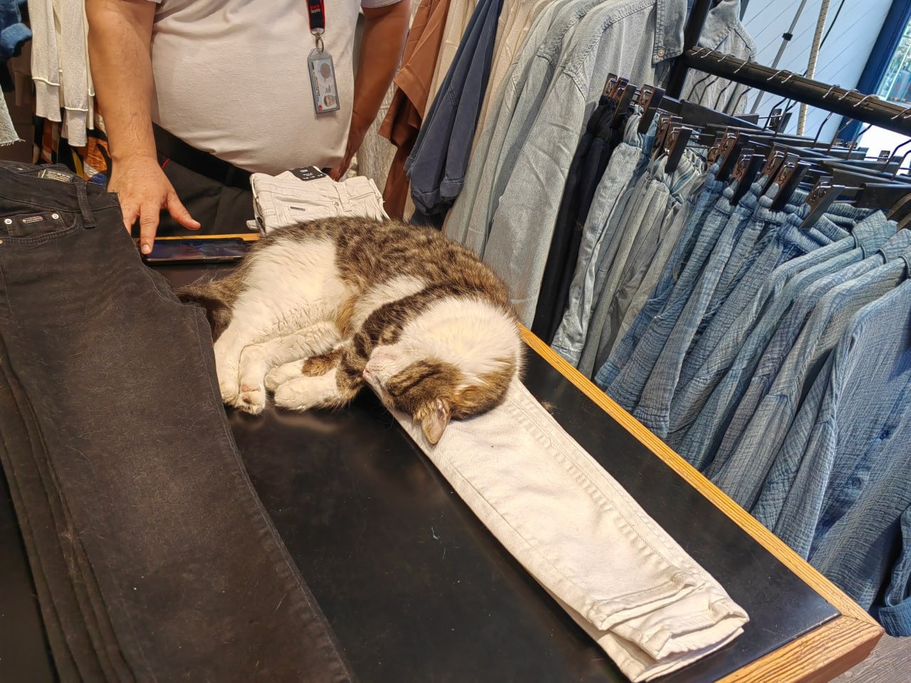 WhatsApp Image 2024-08-01 at 19.17.35 (4).jpeg