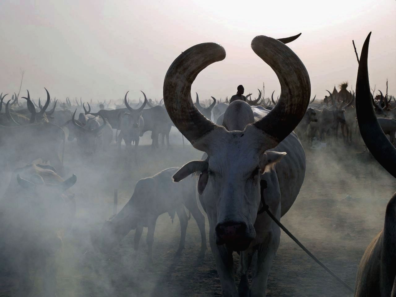 WhatsApp Image 2023-09-06 at 20.08.27.jpeg WhatsApp Image 2023-09-06 at 20.08.27.jpeg