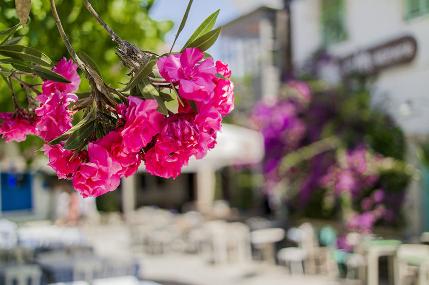 shutterstock_1419822875.jpg shutterstock_1419822875.jpg