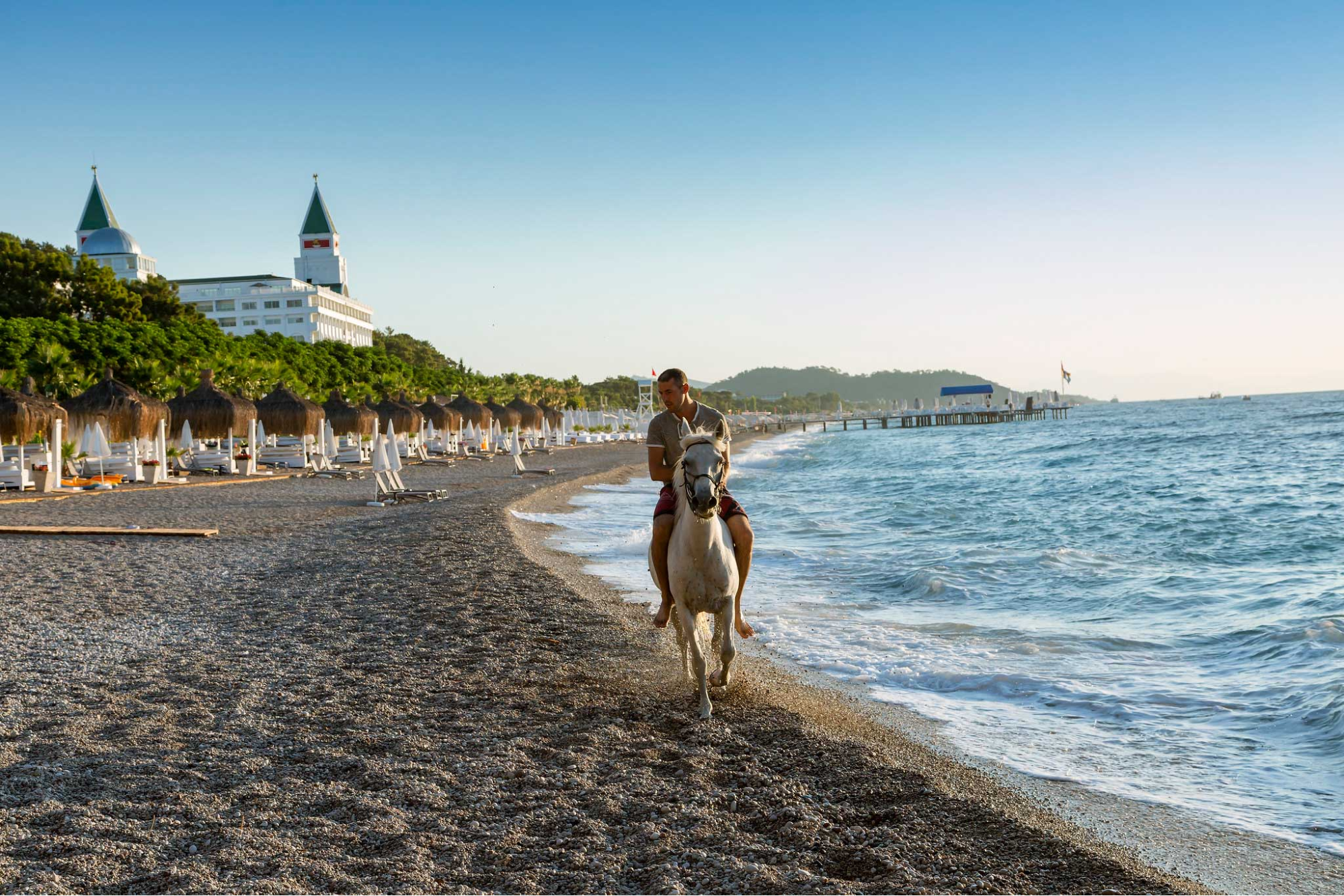 image3.png image3.png