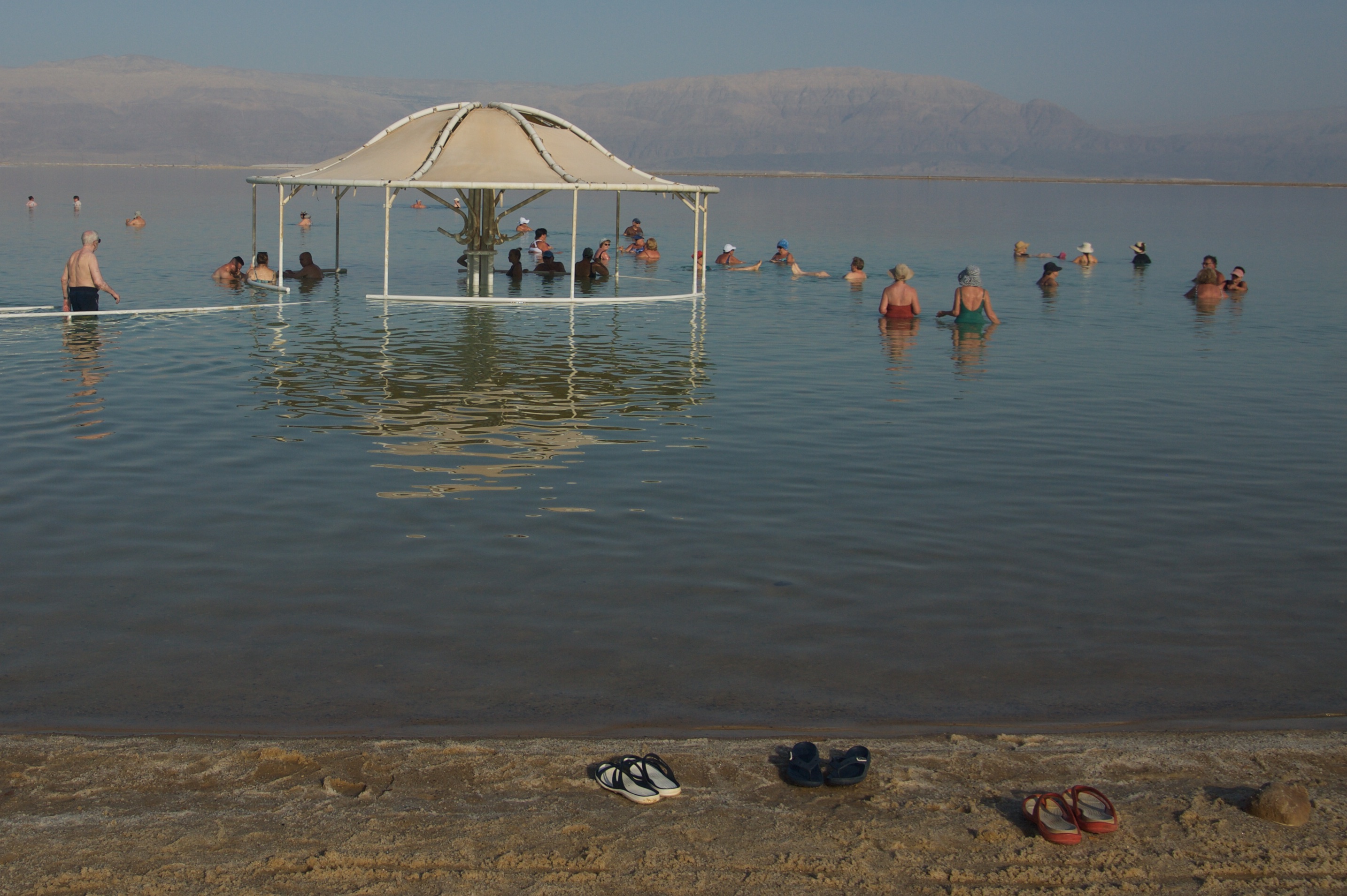 DSC_0135.jpg DSC_0135.jpg