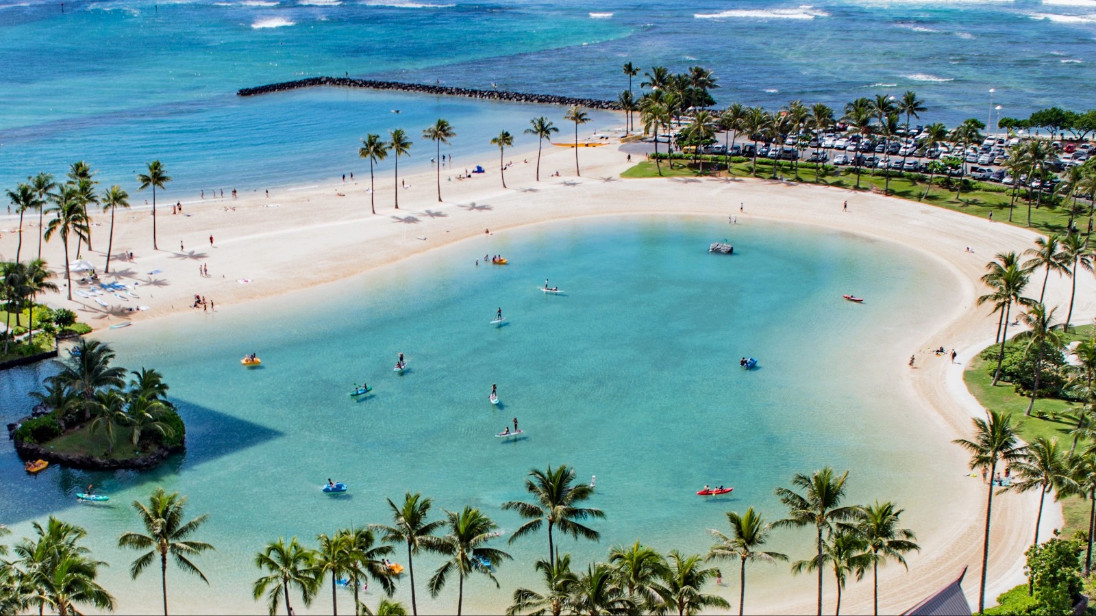 WhatsApp Image 2023-10-12 at 12.17.59.jpeg WhatsApp Image 2023-10-12 at 12.17.59.jpeg