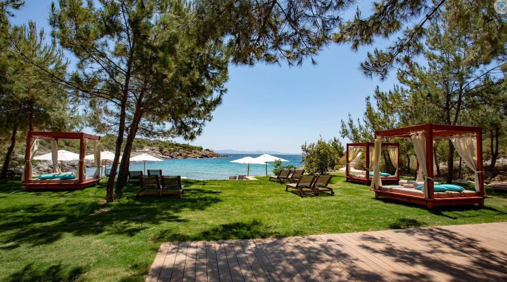 image1.png image1.png