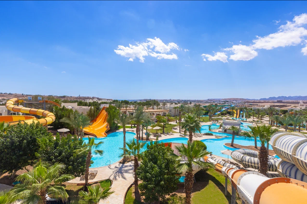 image1.png image1.png