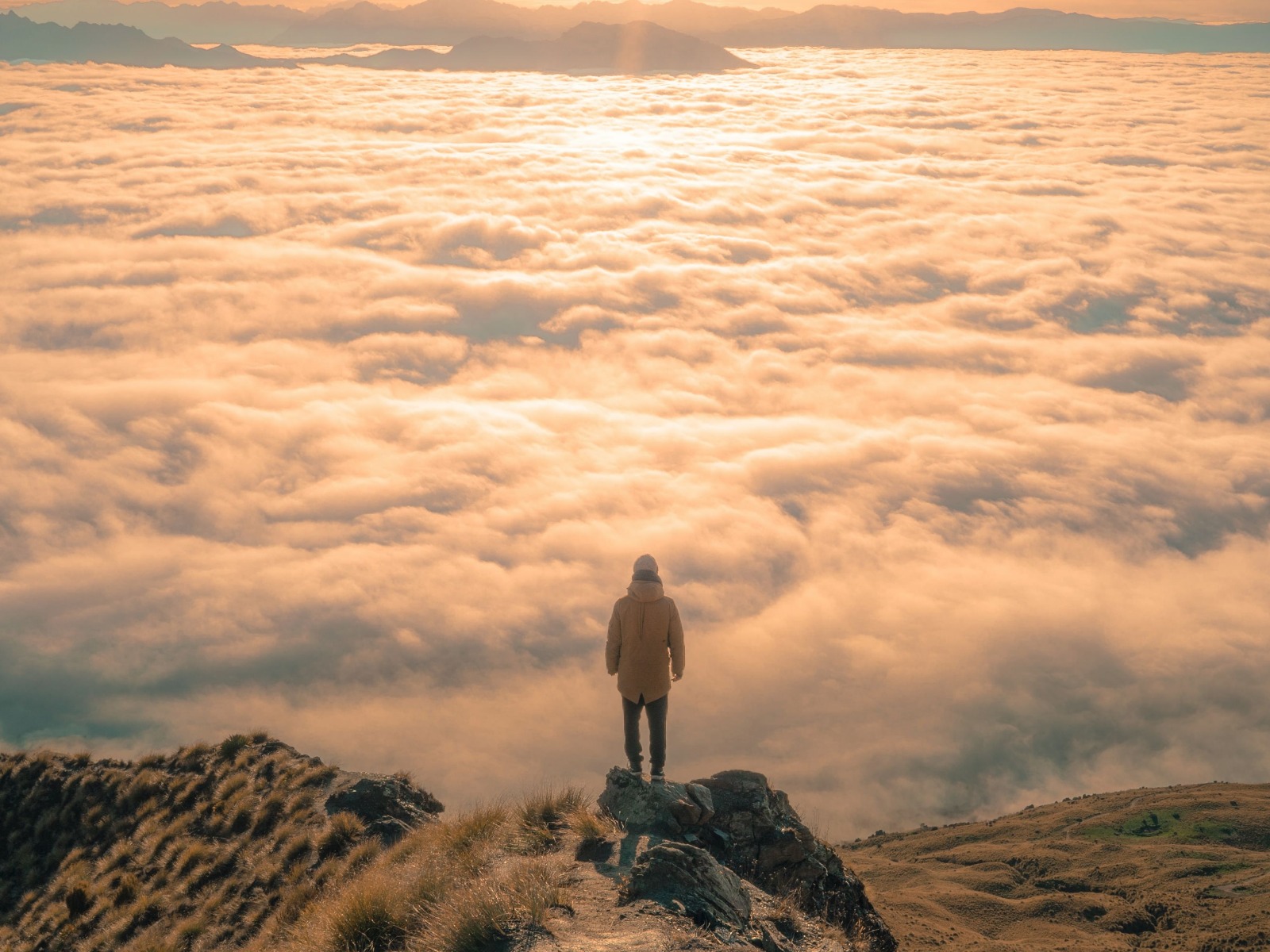 WhatsApp Image 2023-02-20 at 12.21.58.jpeg WhatsApp Image 2023-02-20 at 12.21.58.jpeg