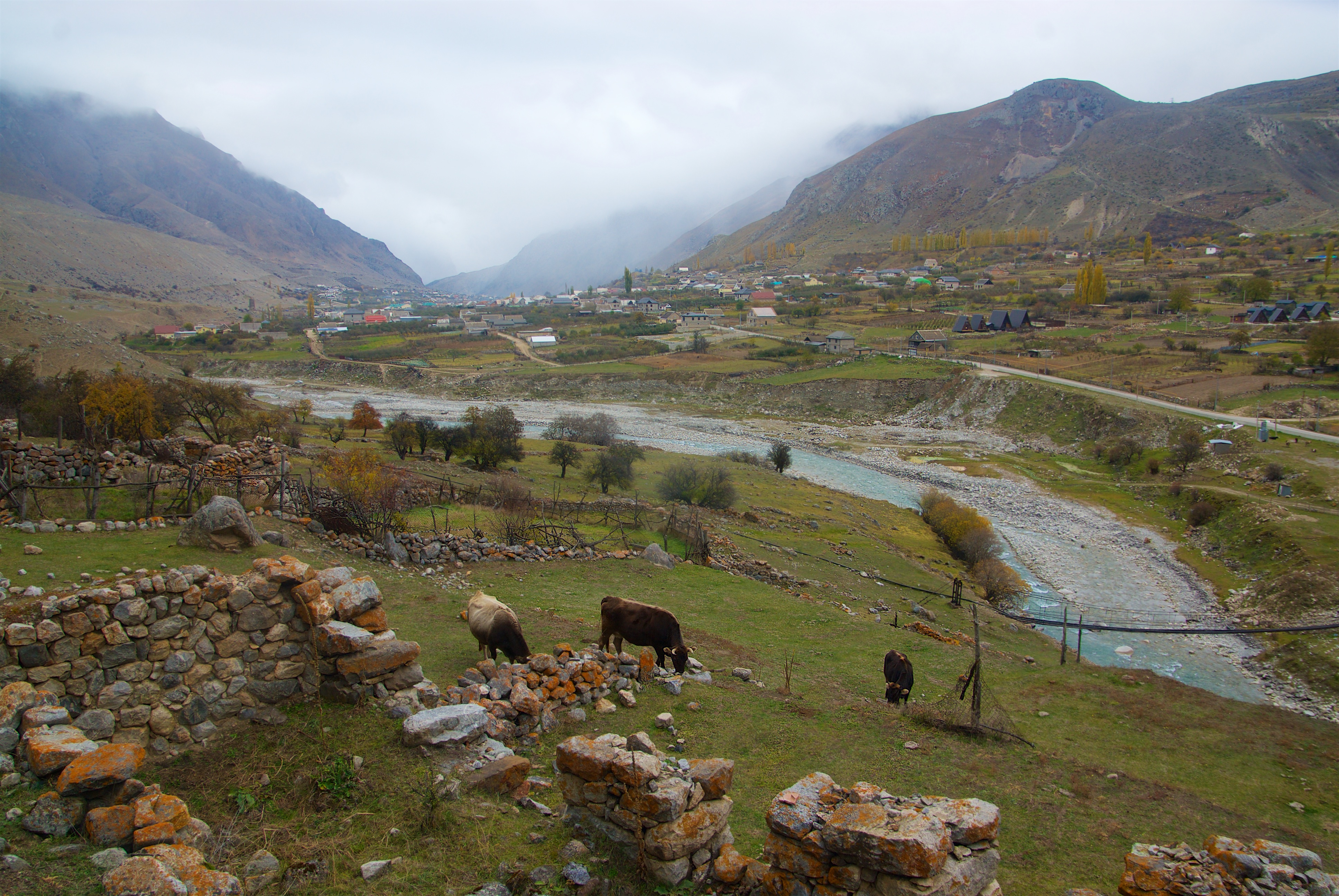 _untitled_ (22).jpg _untitled_ (22).jpg