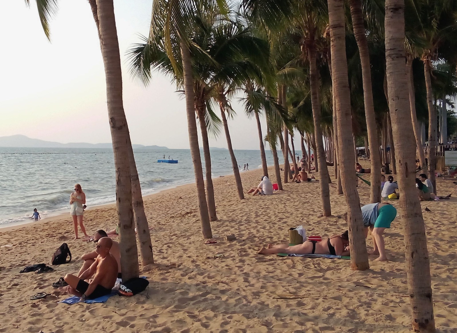 WhatsApp Image 2024-01-15 at 14.01.43.jpeg WhatsApp Image 2024-01-15 at 14.01.43.jpeg