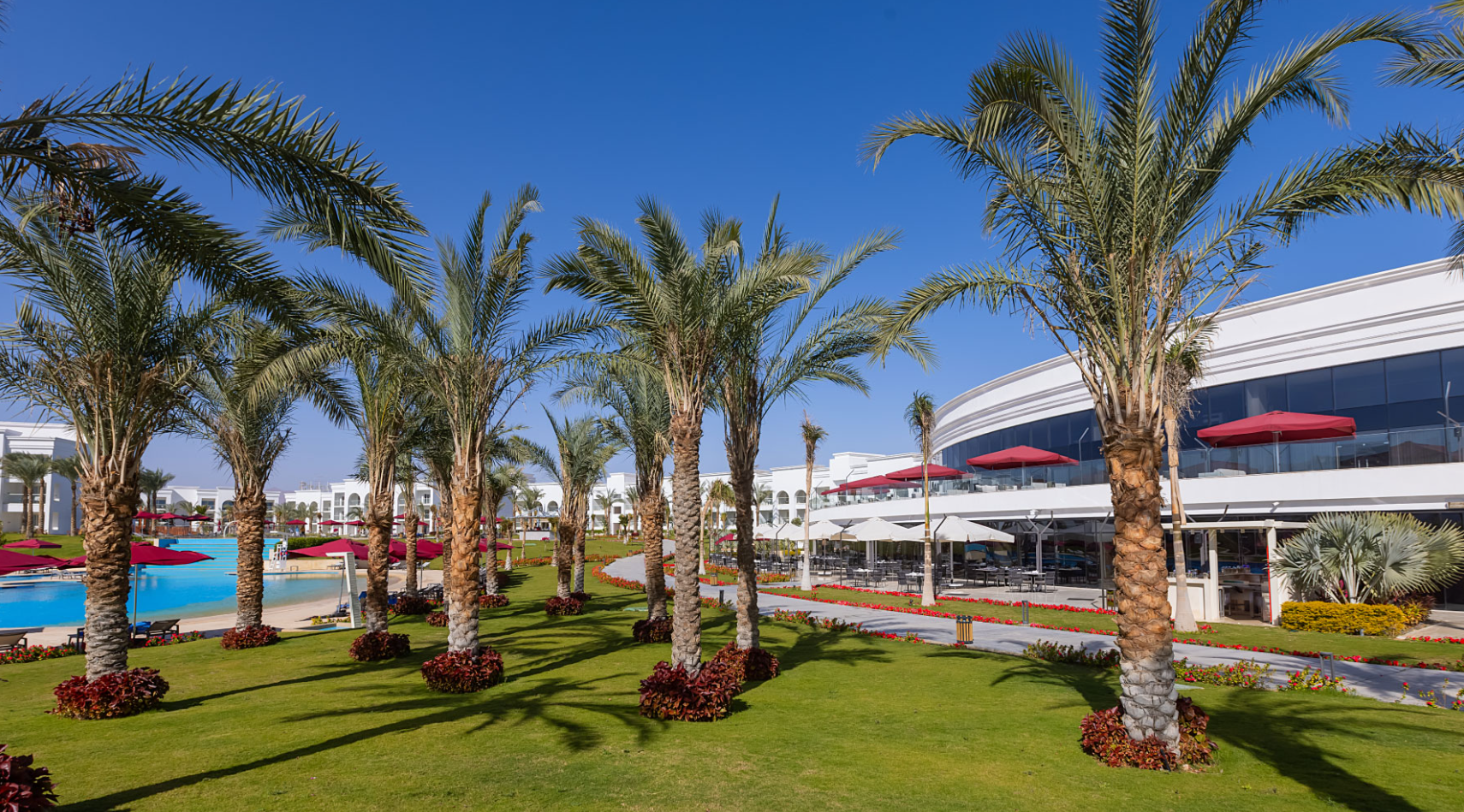 image1.png image1.png