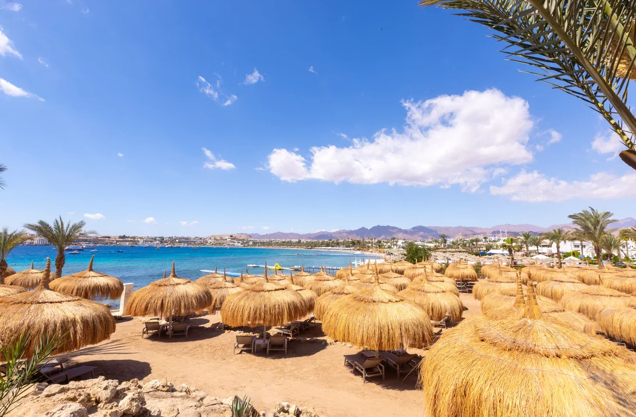 image2.png image2.png