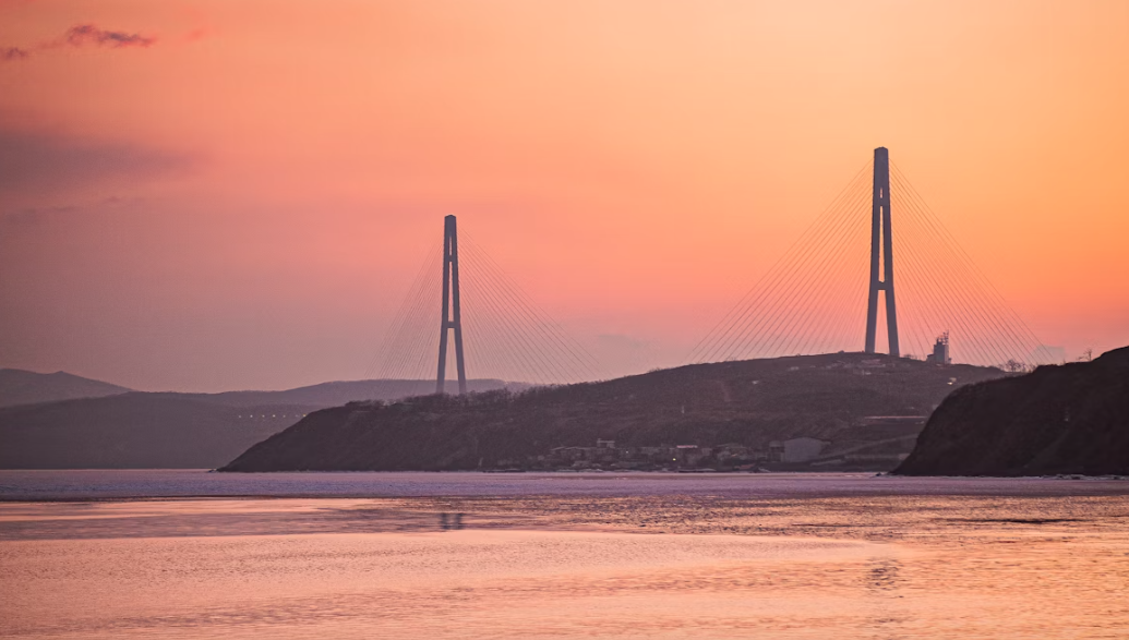 image6.png image6.png