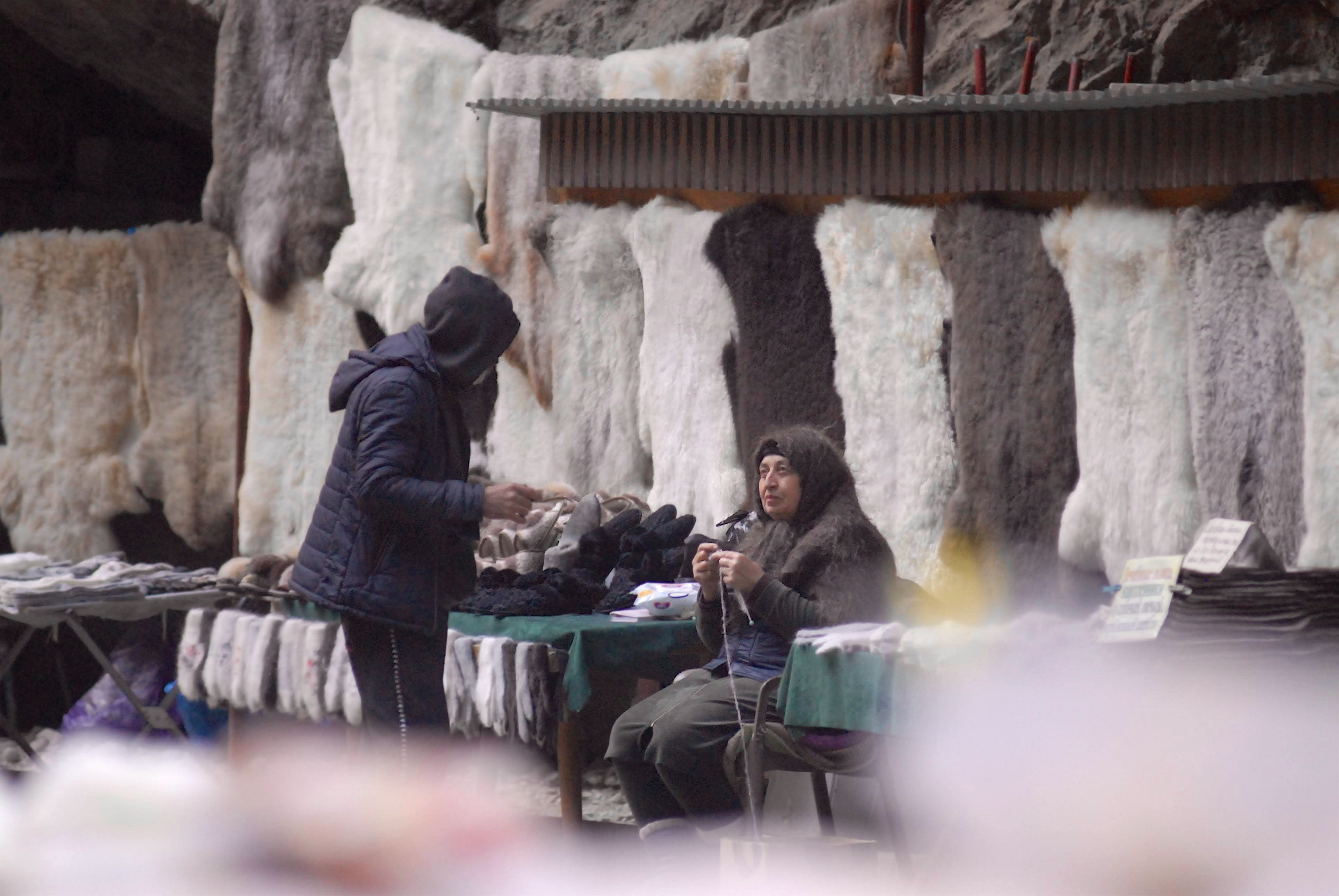 _untitled_ (35).jpg _untitled_ (35).jpg