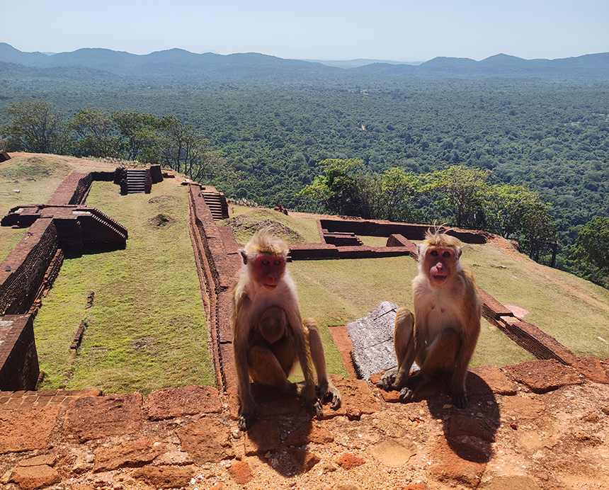 IMG_20220917_111801.jpg IMG_20220917_111801.jpg