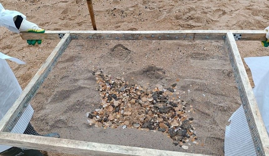 Изображение WhatsApp 2025-04-14 в 11.56.06_8edfe459.jpg Изображение WhatsApp 2025-04-14 в 11.56.06_8edfe459.jpg