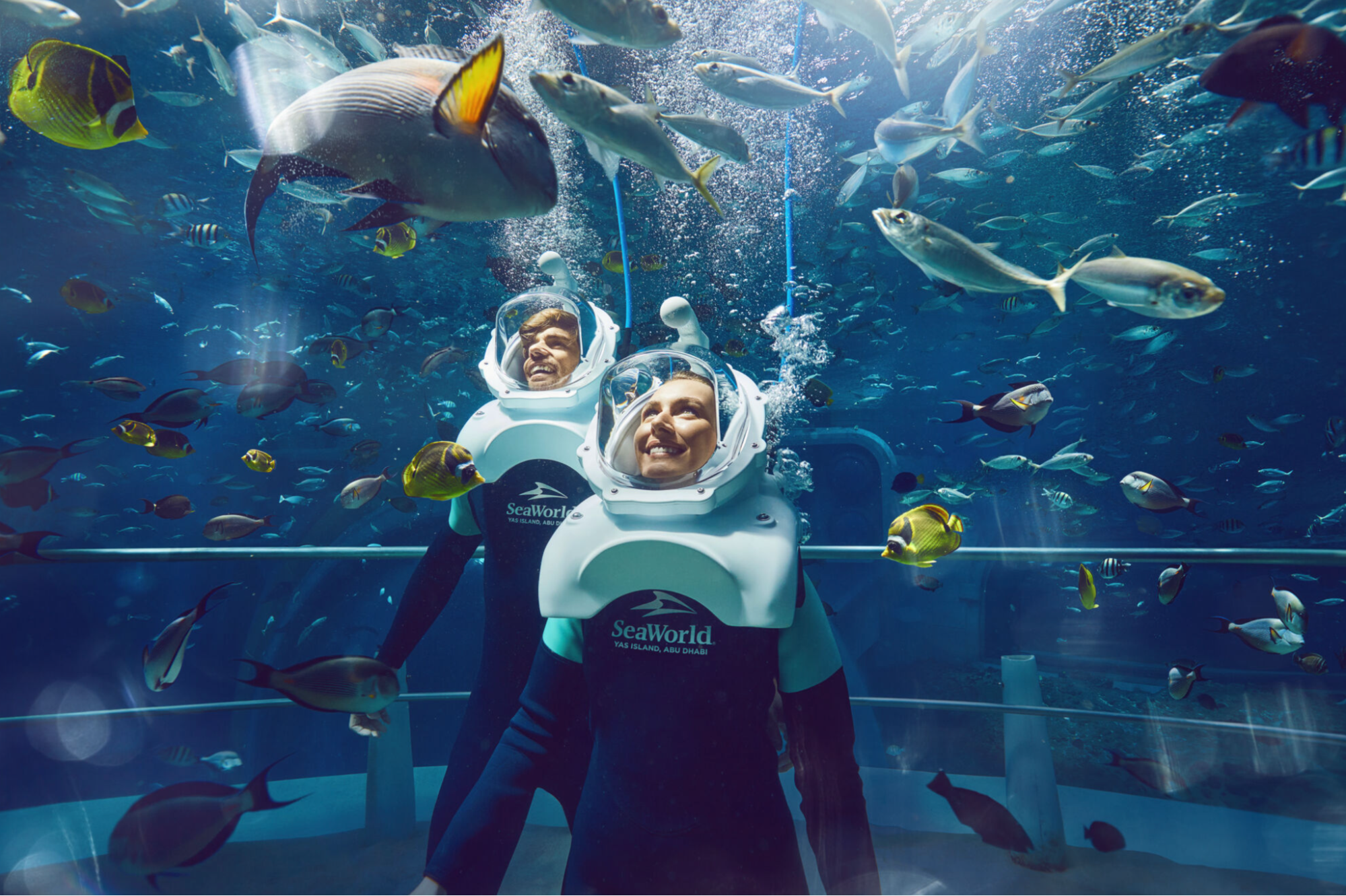 image4.png image4.png