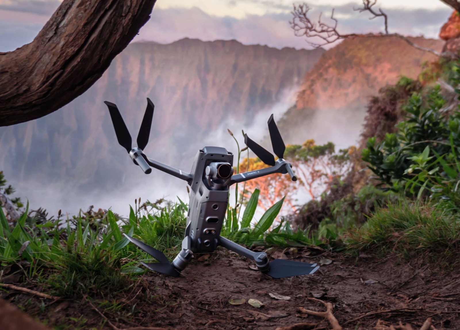 WhatsApp Image 2023-10-12 at 12.19.21.jpeg WhatsApp Image 2023-10-12 at 12.19.21.jpeg