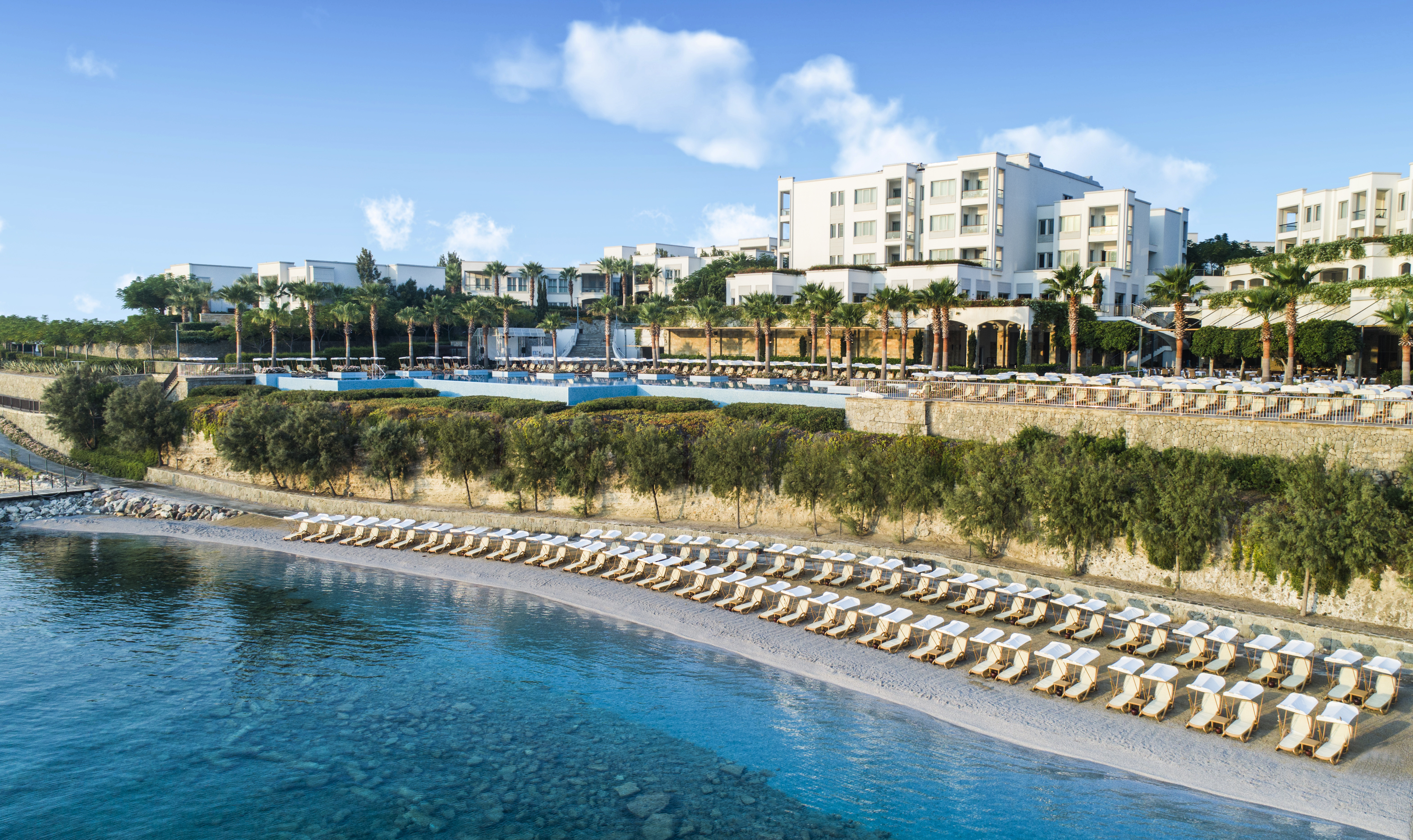 1-10-GENERAL.jpg 1-10-GENERAL.jpg