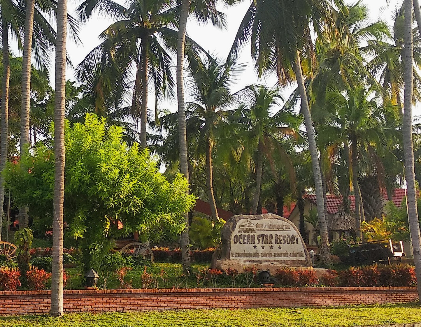 WhatsApp Image 2023-10-23 at 15.20.15.jpeg WhatsApp Image 2023-10-23 at 15.20.15.jpeg