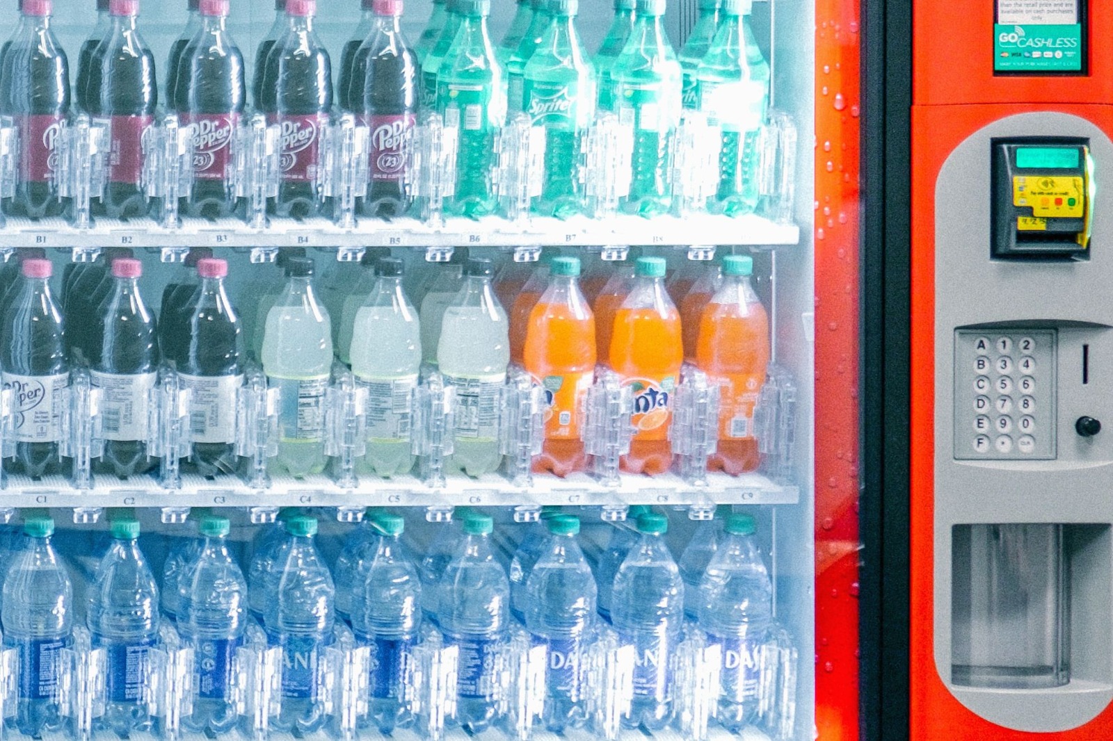 WhatsApp Image 2023-08-30 at 11.26.43.jpeg WhatsApp Image 2023-08-30 at 11.26.43.jpeg