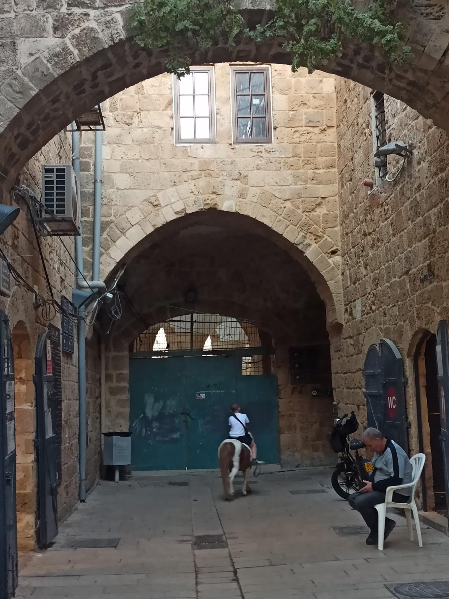 image38.jpg image38.jpg