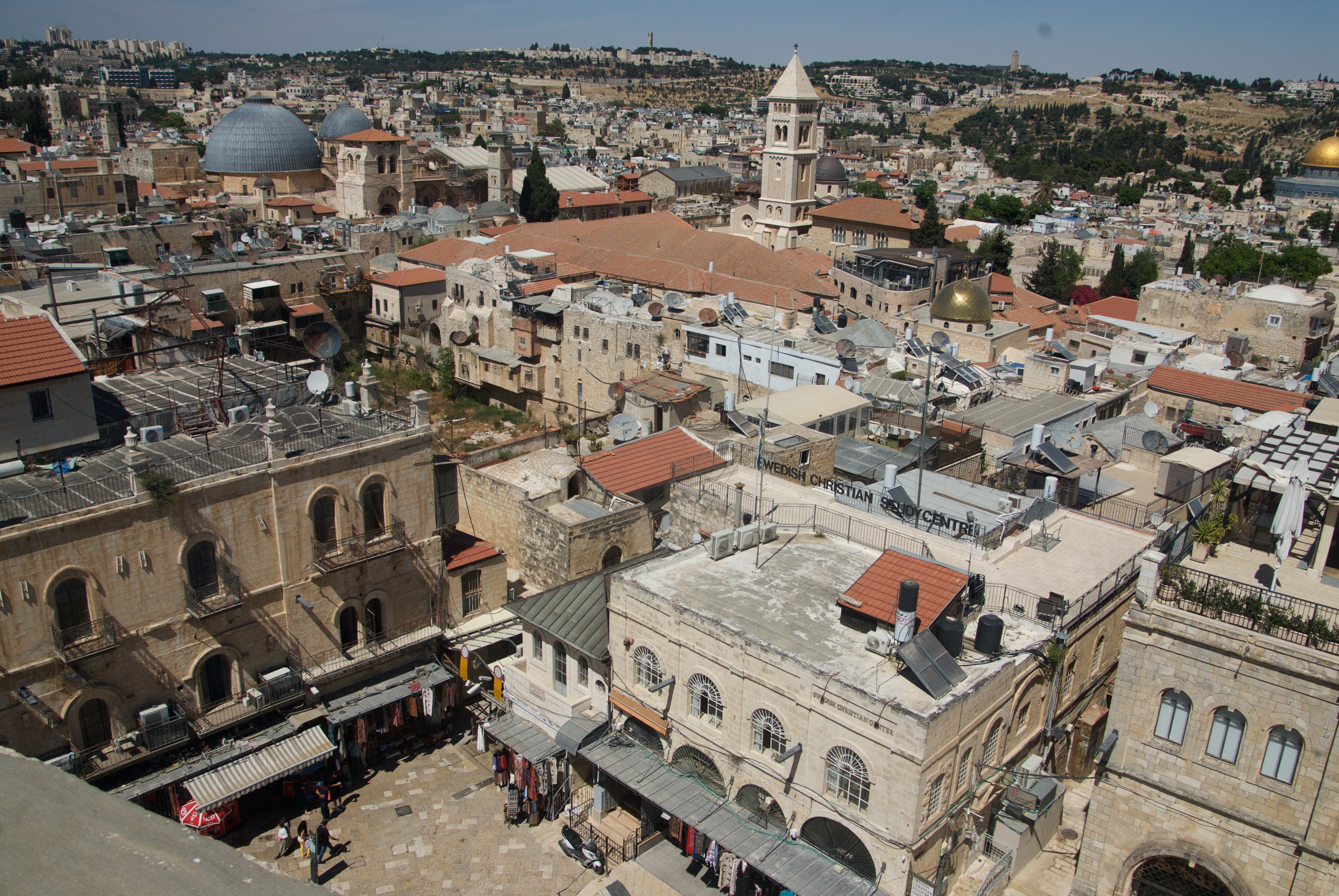 DSC_1230.jpg DSC_1230.jpg