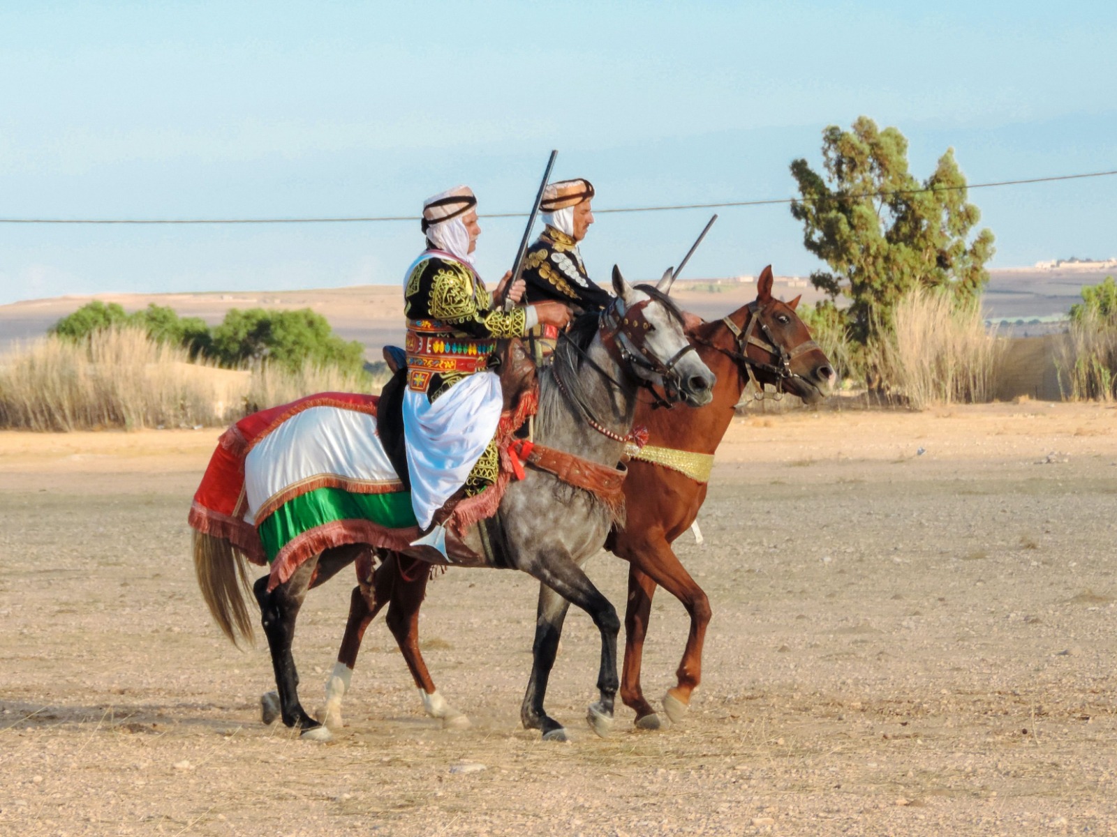 WhatsApp Image 2023-02-02 at 10.09.20.jpeg WhatsApp Image 2023-02-02 at 10.09.20.jpeg