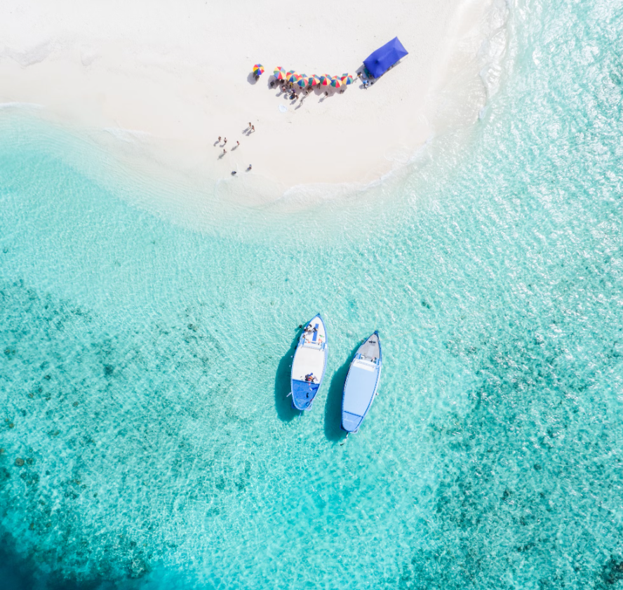 image8.png image8.png