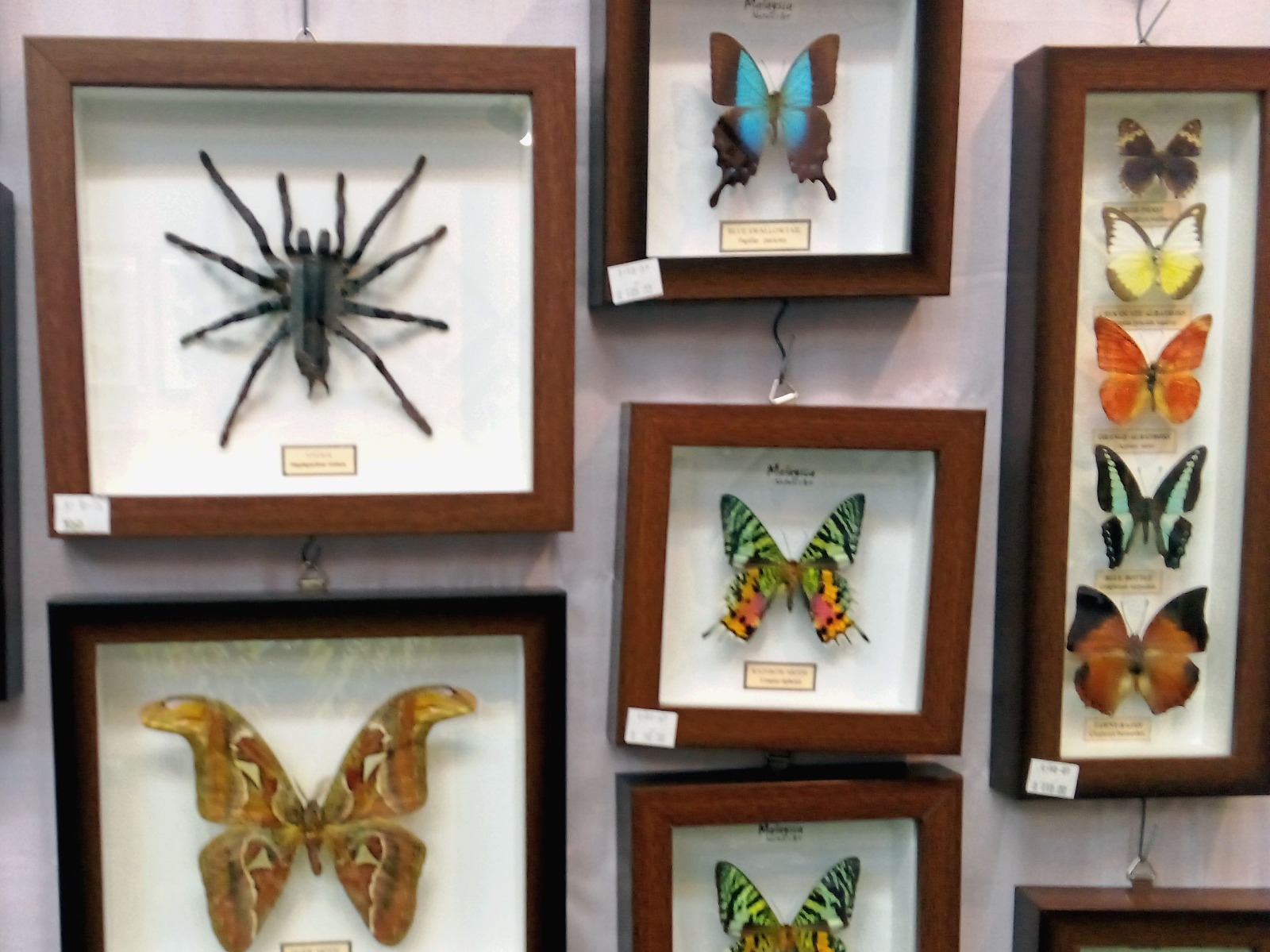 WhatsApp Image 2023-12-13 at 15.15.13.jpeg WhatsApp Image 2023-12-13 at 15.15.13.jpeg