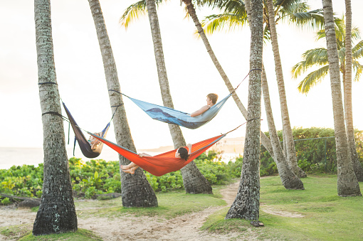 image16.png image16.png