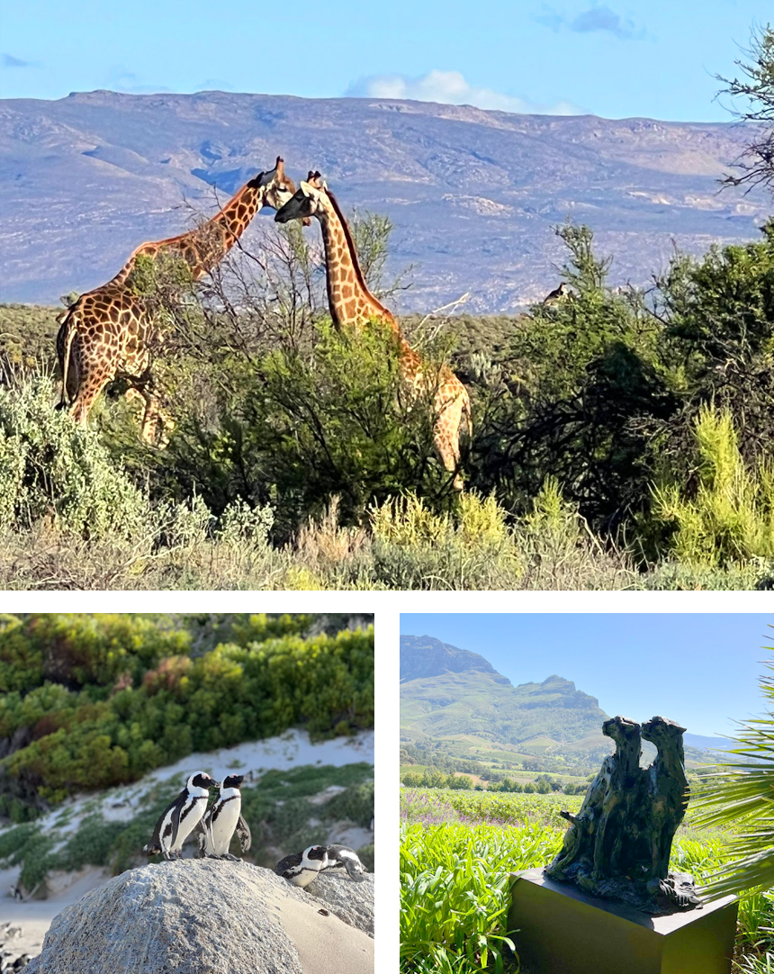 000007.jpg 000007.jpg