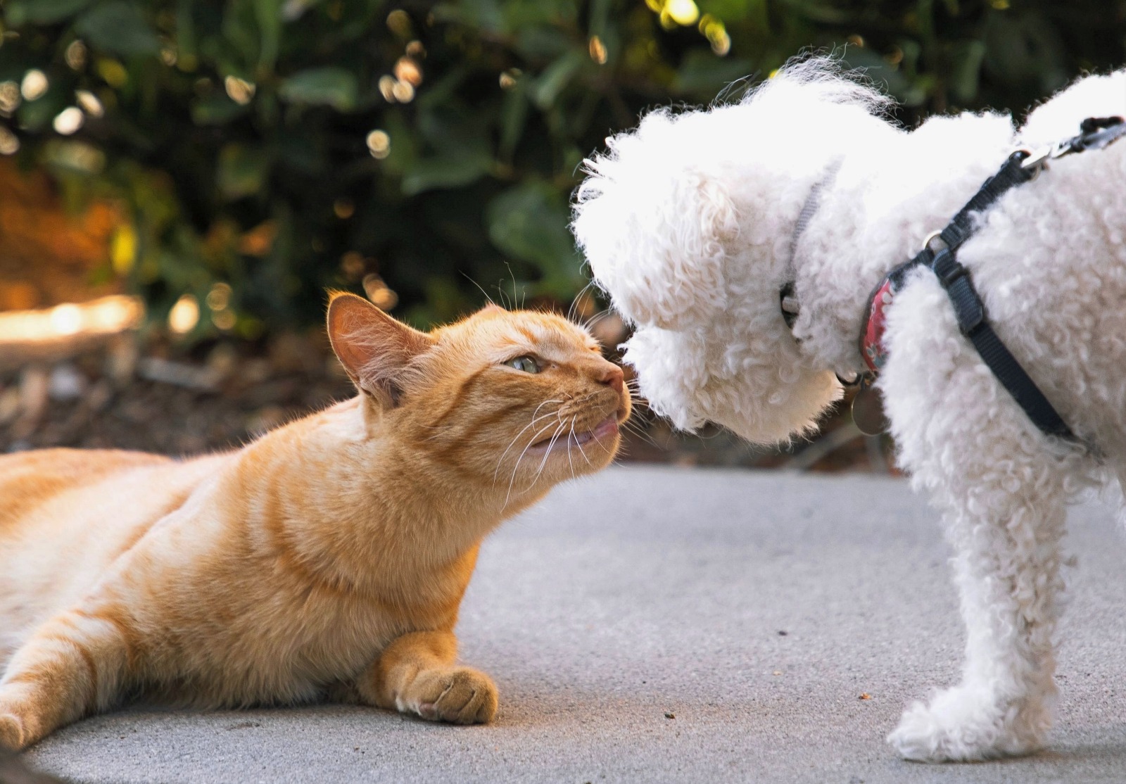 WhatsApp Image 2023-08-11 at 11.20.57.jpeg WhatsApp Image 2023-08-11 at 11.20.57.jpeg