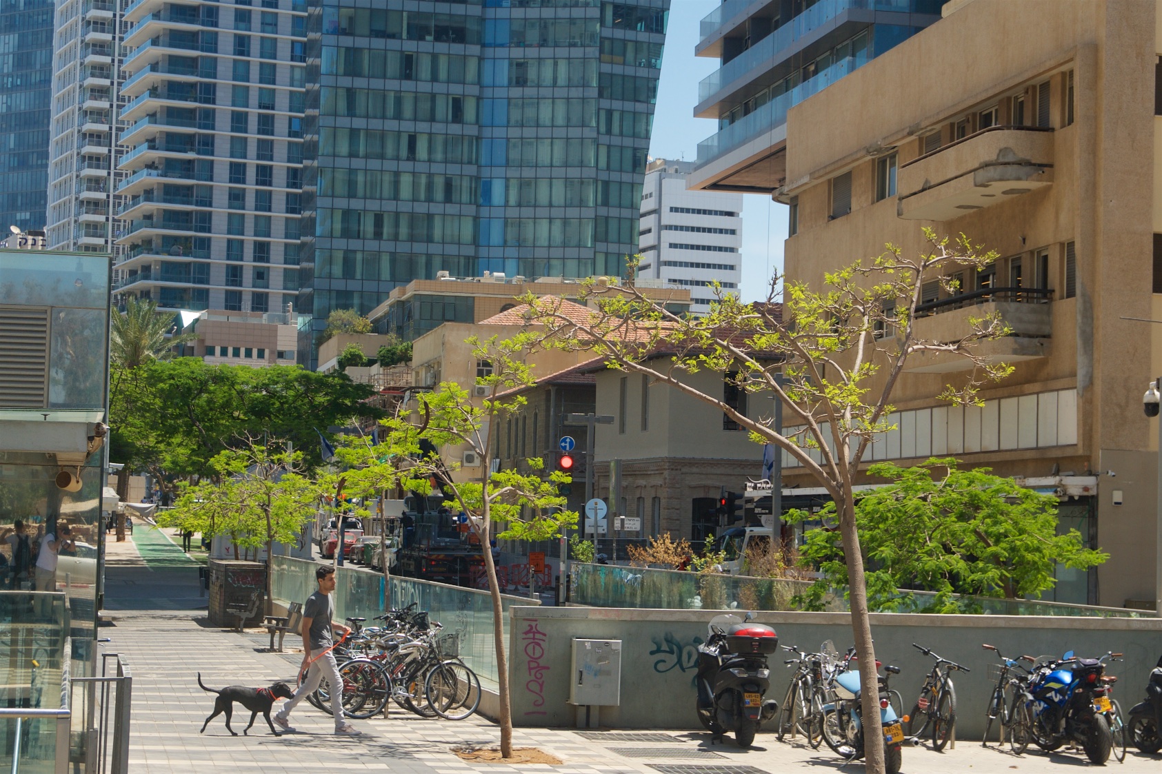 DSC_1115.jpg DSC_1115.jpg