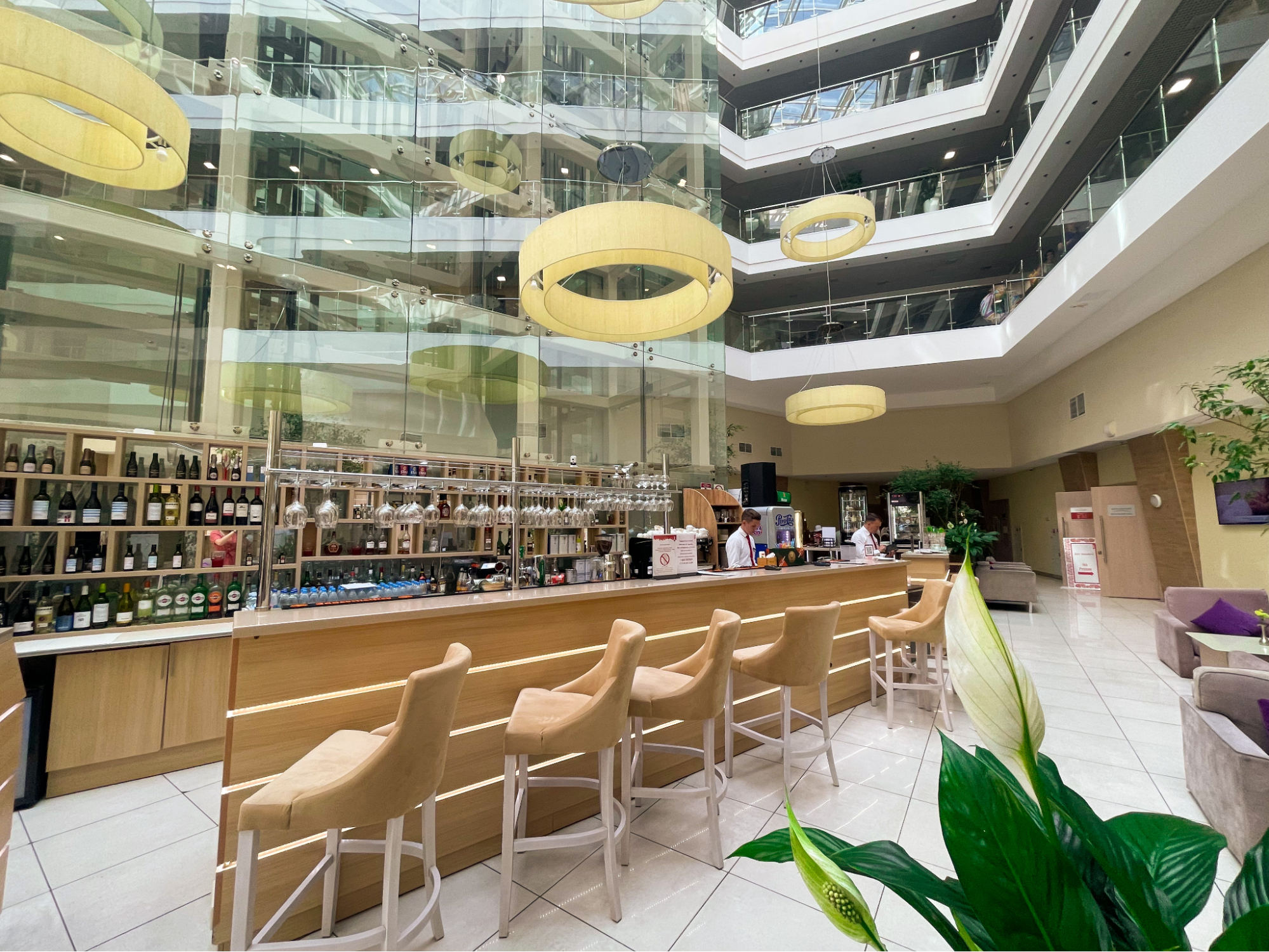 image2.png image2.png